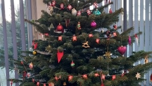 Juletræer skal der til. I år har efterspørgslen i Fredericia tilsyneladende været større end normalt. Foto: Louise Hofstedt Nielsen