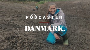 Tina Ernlund er på sit favoritsted - Gram lergrav - hvor hun kommer flere gange om måneden, for at lede efter fossiler, der er 10 millioner år gamle. Foto Anne-Marie Lindholm