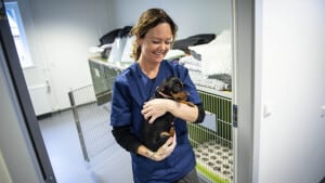 Veterinærsygeplejerske Susanne Billeschou med hunden Bella, der er på vej til operation. Det er typisk hunde og katte, der er under kniven hos Fredericia Dyrehospital, men også kaniner og hamstere behandles. Foto: Peter Leth-Larsen