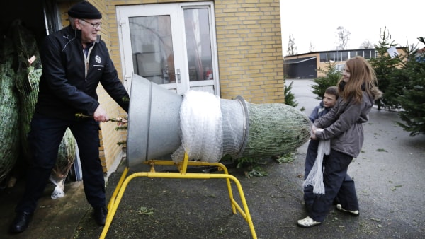 Gammelnissen Har Igen Været På Spil: Juletræerne Er Atter Til Salg Ved ...