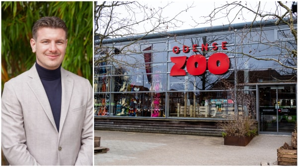 - Et scoop af de helt store: Odense Zoo opruster på vigtig post