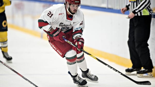 Bulldogs stred flot i Frederikshavn