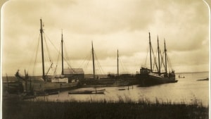 Parti fra Hjarbæk Havn i begyndelsen af 1900-tallet, hvor skibe med last til blandt andet Viborg stadig ankom i en lind strøm. Foto: Løgstrup og omegns lokalhistoriske arkiv