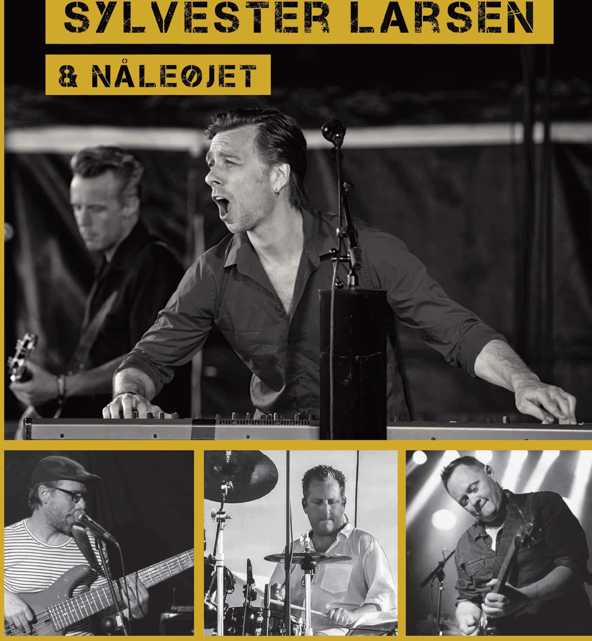 sig-f-r-bes-g-af-kim-larsens-s-n-sylvester-larsen-p-lille-landsby