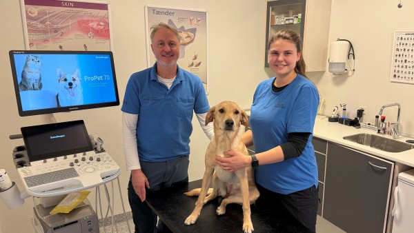 Dyreklinik øger overskuddet: - Vi lever af gode anbefalinger