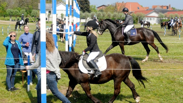 Tønder Ringridning I Weekenden | Ugeavisen.dk