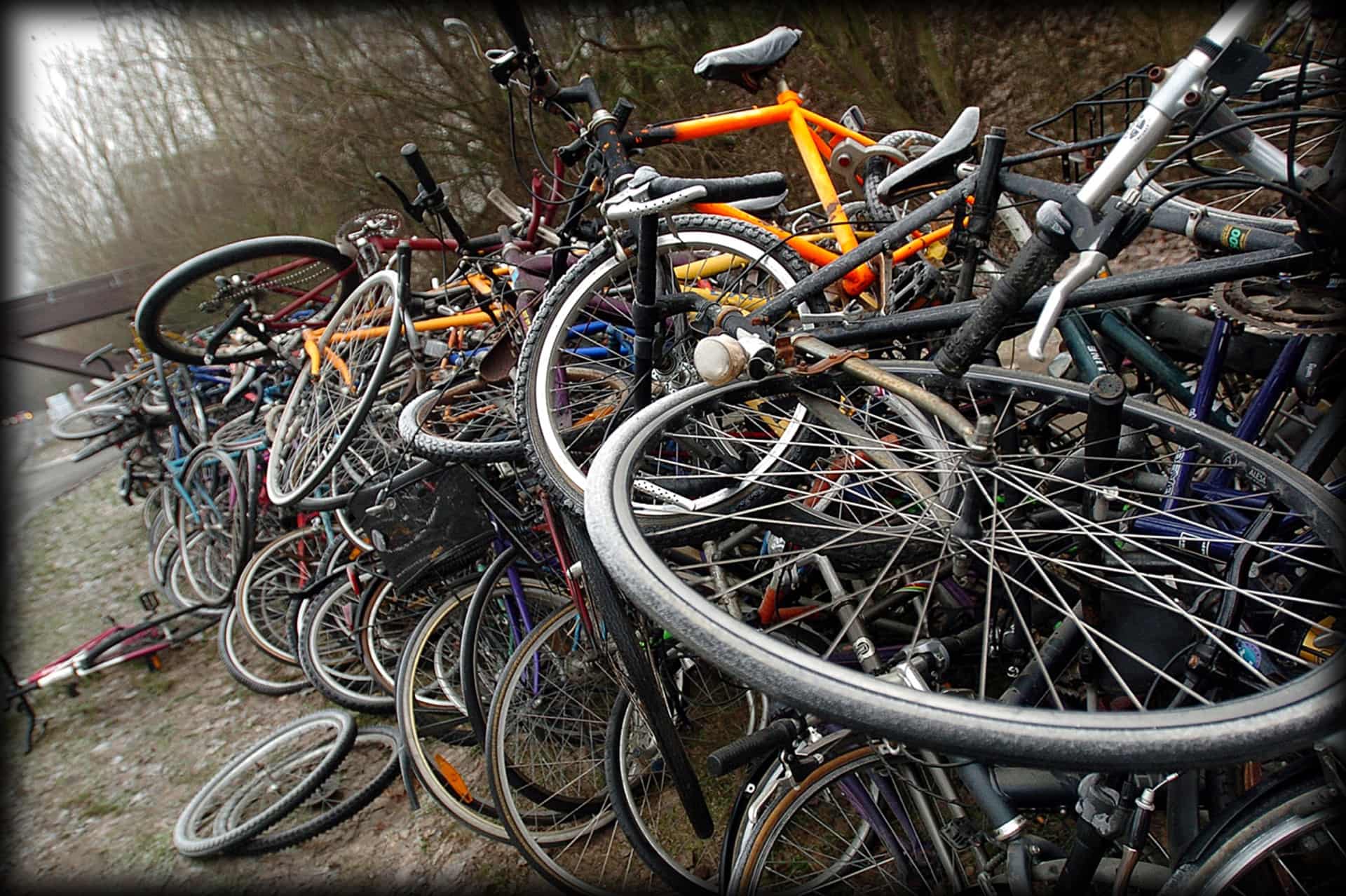 Stjålet Cykel Sat Til Salg: Skarp Mor Ringede Til De Rigtige Og ...