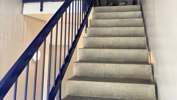 19-årig anholdt for kvindedrab i Middelfart: Er ikke i familie