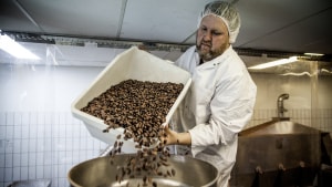 200 lokale långivere skulle blot bruge fire timer på at finde en million kroner, så chokoladeeksperten Mikkel Friis-Holm kunne få sig en chokoladefabrik i landsbyen Herslev. Foto: Raisfoto
