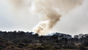 Der er brandfare i store dele af landet efter høje temperaturer, der har gjort naturen tør. (Arkivfoto)