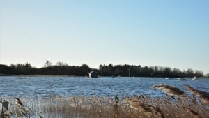 Cirka 50 ejendomme ved Føns er i risiko for at blive ramt af et højvande, der forventes at toppe torsdag aften. Arkivfoto: Sofie Secher Karlsen