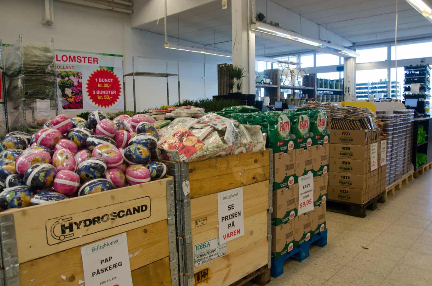 Modish blandt Abe Tusindvis af buketter, tulipaner og bananer: Se billederne fra Koldings nye  Billigblomst | jv.dk
