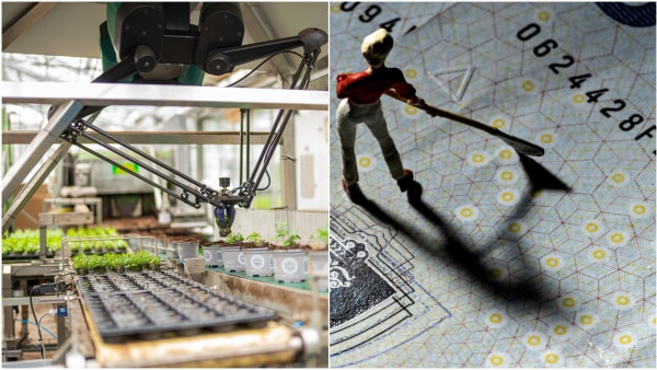 Omsætningen er på 36 milliarder kroner: Men nu bliver der kæmpet hårdt for at hive ordre hjem