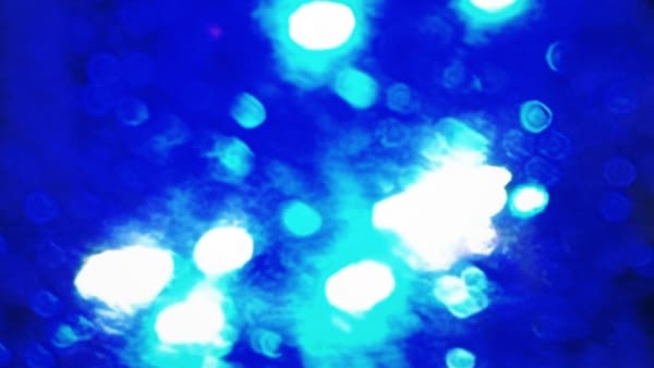 Politiets næse fik færden af en kriminel på cykel: - Han var i besiddelse af både amfetamin og hash
