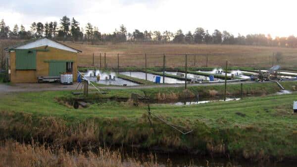 Å tilbage til naturen  ugeavisen.dk