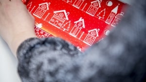 Rekordmange har søgt julehjælp i år, og det kan blandt andet skyldes, at det er blevet dyrere at være dansker, forklarer organisationerne. Foto: Mads Claus Rasmussen/Ritzau Scanpix