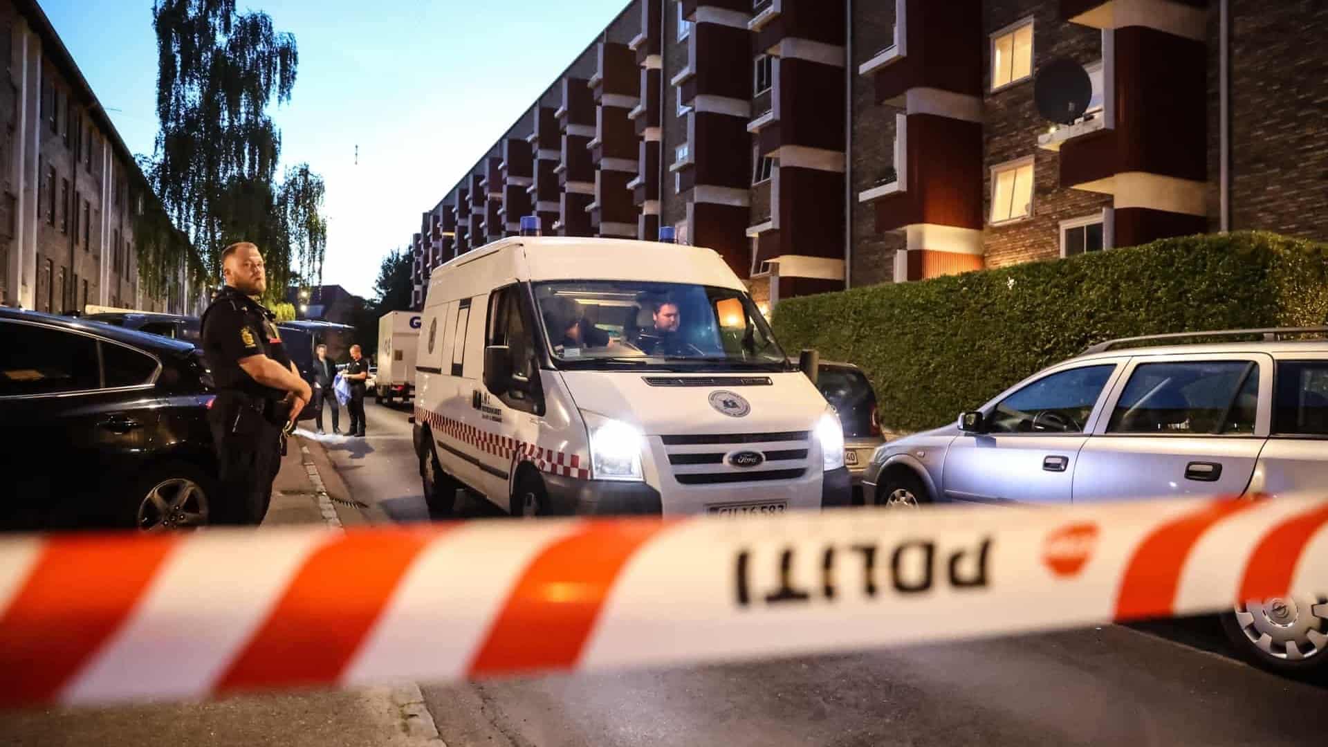 Billedet i artiklen