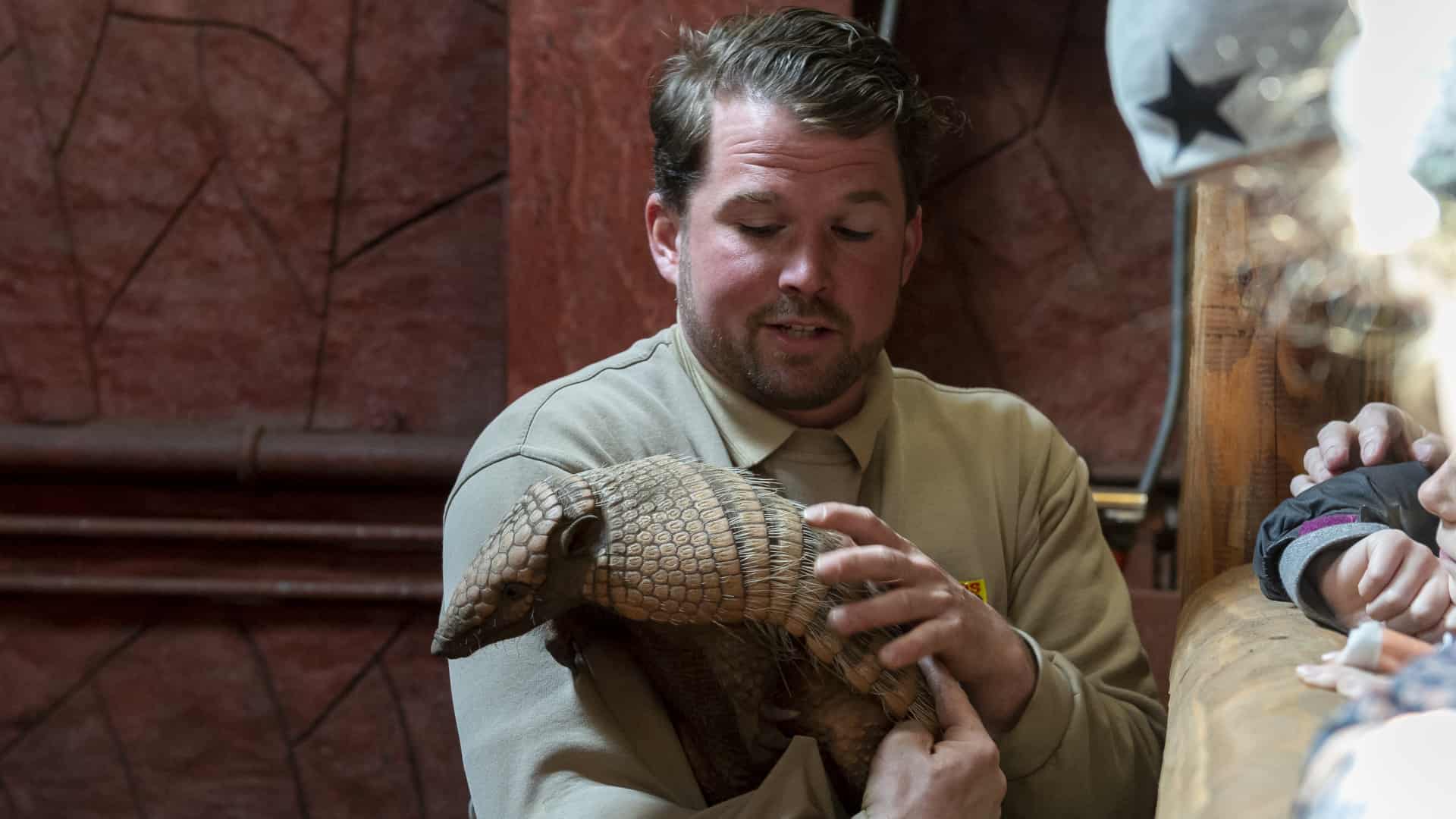 Jyllands Park Zoo feiert 50-jähriges Jubiläum | ugeavisen.dk