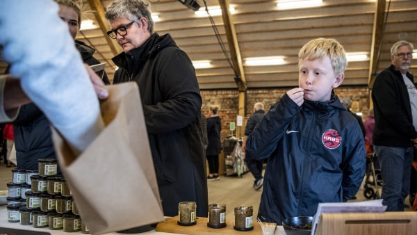 11-årigt Madøre: Det Er Helt Vildt Godt | Ugeavisen.dk