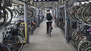 Behovet for cykelparkering er så stort, at cykelparkeringen på Bruuns Bro ikke rækker. Aarhus Kommune planlægger derfor en midlertidig cykelparkering ved  Hallssti. Foto: Kim Haugaard