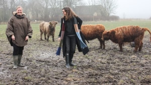 Det konservative medlem af EU Parlamentet Pernille Weiss havde taget gummistøvlerne med, da hun skulle besøge Lene Gommesen, så hun komme ud i marken og se på de skønne, langhårede dyr. Foto: Helle Nordström