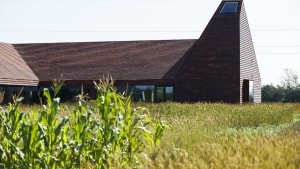 Kornets Hus er bygget midt i en kornmark i Nordjylland. Foto: Linda Suhr