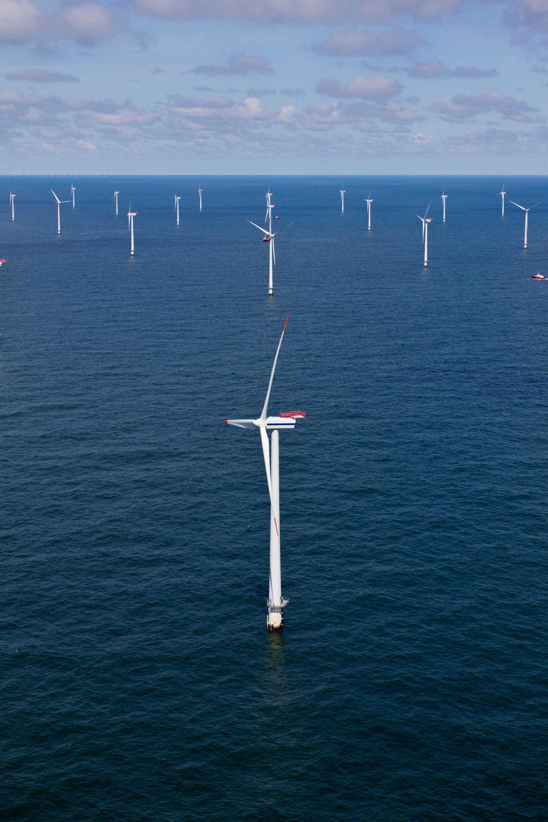 Medie: A2Sea på vej til at skifte ejere | vafo.dk