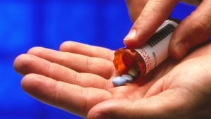 Det mest populære potensmiddel er Viagra-pillen, hvis aktive stof er Sildenafil. Mange af de svindelagtige potensprodukter påstår at indeholde det stof, men oftest er det kopier. Foto: Matt Meadows/Science Photo Library/Ritzau Scanpix