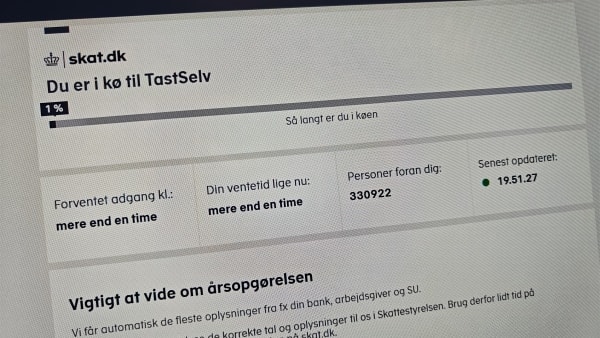 Nu kan du tjekke din skat: Men du skal sidde i kø i timevis