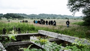 Natur- og Miljøklagenævnet var tirsdag og onsdag på besøg i Vejle Ådal for at besigtige området, som en fredning af ådalen vil omfatte. Foto: Mette Mørk