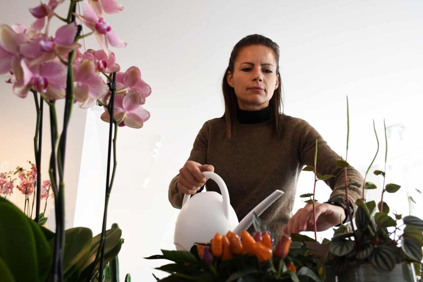 Nu kan du få blomster døgnet rundt: blomsterhandlere har åbent for selvbetjening | jv.dk