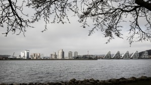 Klimasikring og rekreativt vand er tænkt ind i den nye bydel på havnen - og det har verden fået øje på siger kommunens Chief Resilience Officer, Ulla Varneskov. Foto: Mette Mørk