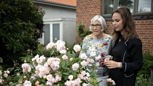 Forfald prægede farfars plejehjem, oplevede barnebarnet Lærke Damgaard og farmor Dorethe Madsen, der selv elsker liv i sin have med masser af blomster. Foto: Michael Bager