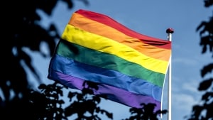 I weekenden vil regnbueflaget blandt andet vaje i rådhusets flagstang. Foto: Mads Claus Rasmussen/Scanpix