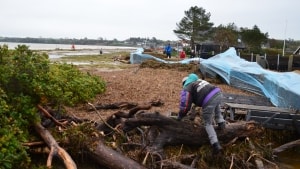 Vemmingbund ligner en slagmark, der ikke er lige til at forcere. Foto: Henrik Rath, jfm