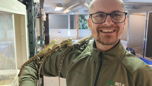 Se video: Unikke dyreunger kommet til verden i fynsk zoo - ingen har gjort det før i Skandinavien