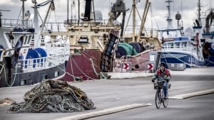 På Nordhavnen i Hvide Sande ønsker virksomheden North Sea Steelhead at få lov til at etablere et landbaseret anlæg til produktion af især regnbueørreder. Arkivfoto: Morten Stricker