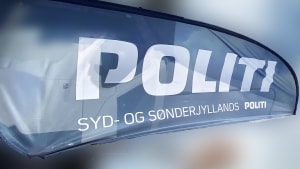 Syd- og Sønderjyllands Politi søger vidner til en episode lørdag i Vejen, hvor en 11-årig pige blev udsat for blufærdighedskrænkelse af en cirka 15-årig dreng. Arkivfoto: Søren Dippel