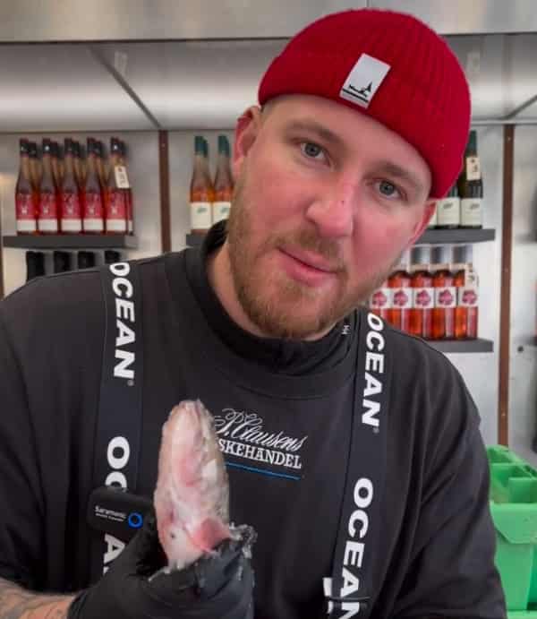 P. Clausens Fiskehandel i Aarhus deler 150 kg gratis fjæsing ud