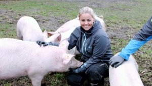 Anita Rankeberg Juels sats på en økologisk gris, der går ude hele året, har betydet, at hun har stået alene med både afsætning og markedsføring. Foto: L-Mediehus