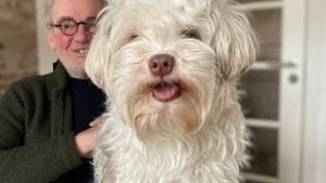 Tommy Møller har haft dyr hele sit liv. Også hund. I 73 år. Han synes, vi er blevet for hundefjendske. Foto: Mette Falther