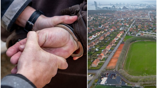 Peberspray-tyv brød grædende sammen i retten: Jeg hader at lave indbrud