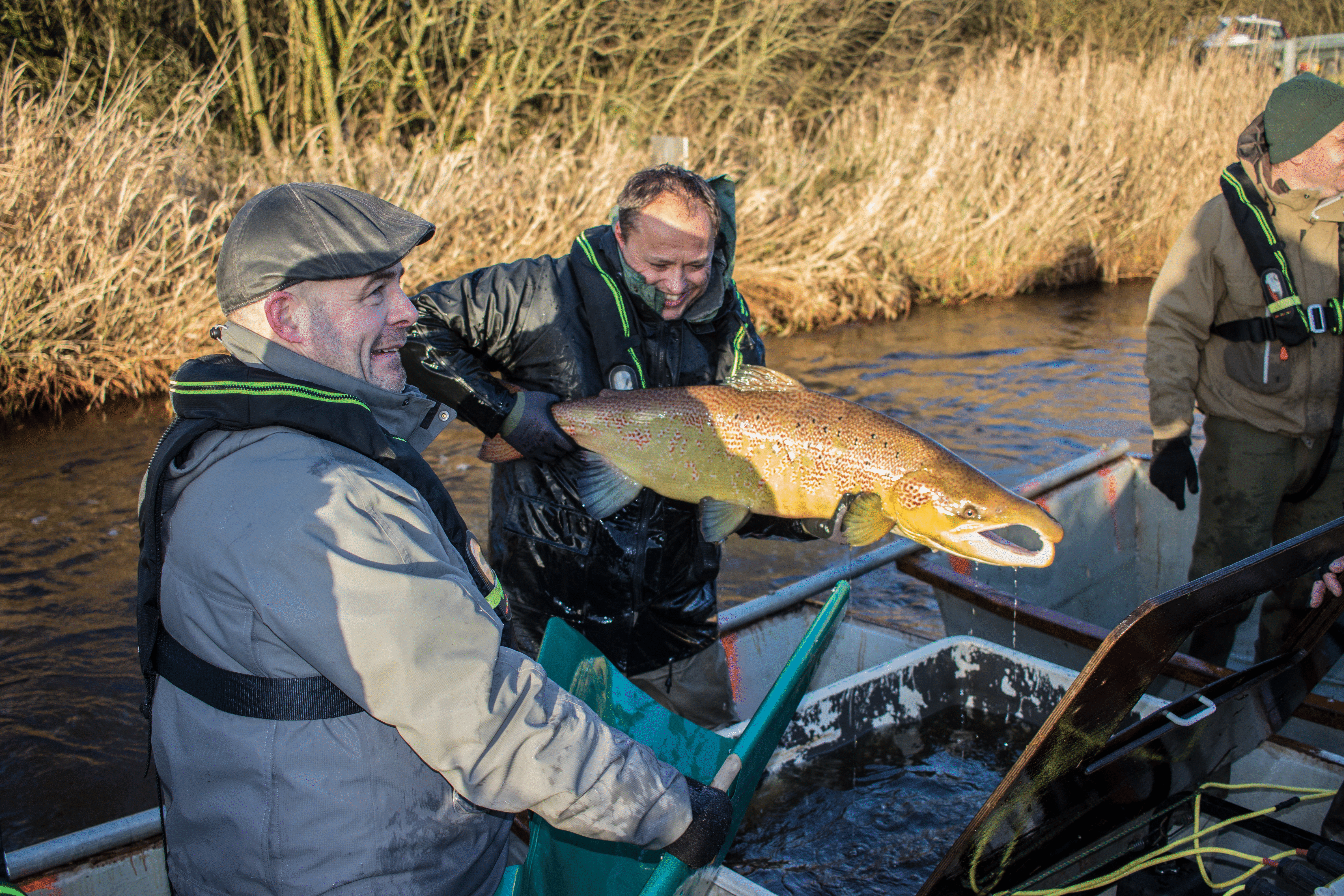 Sportsfiskerne fiskede i weekenden efter blandt andet laks og ørreder til avlsbrug. Privatfoto